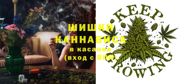 ПСИЛОЦИБИНОВЫЕ ГРИБЫ Алексин