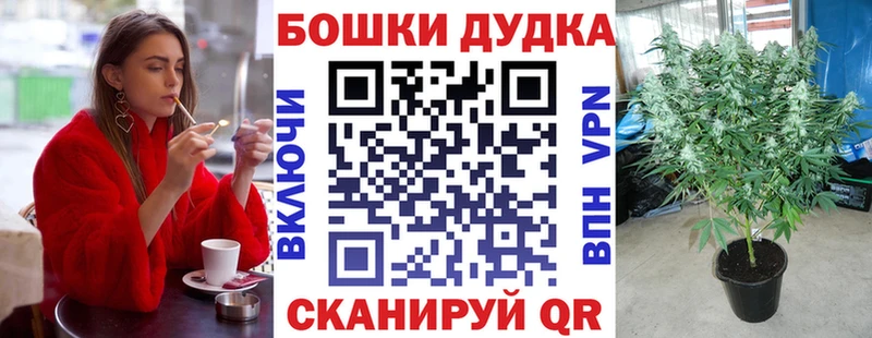 Марихуана гибрид  Шумиха 